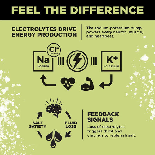LMNT Zero-Sugar Electrolytes.